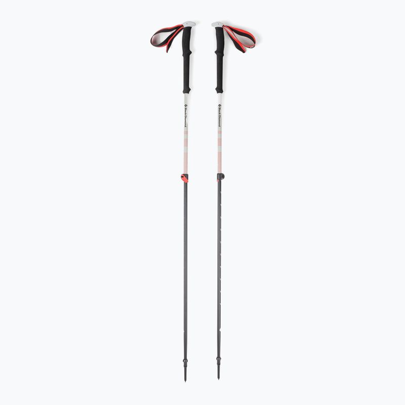 Black Diamond Expedition 2 slidinėjimo lazdos