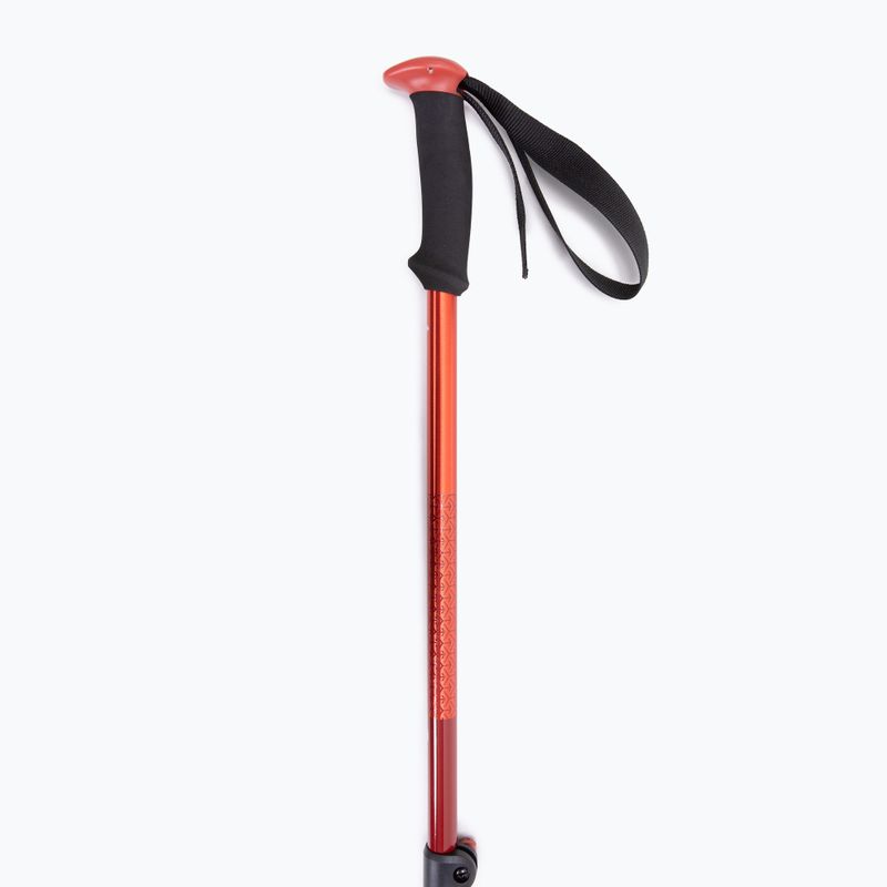 Treko lazdos Black Diamond Trail Sport Trek octane 3