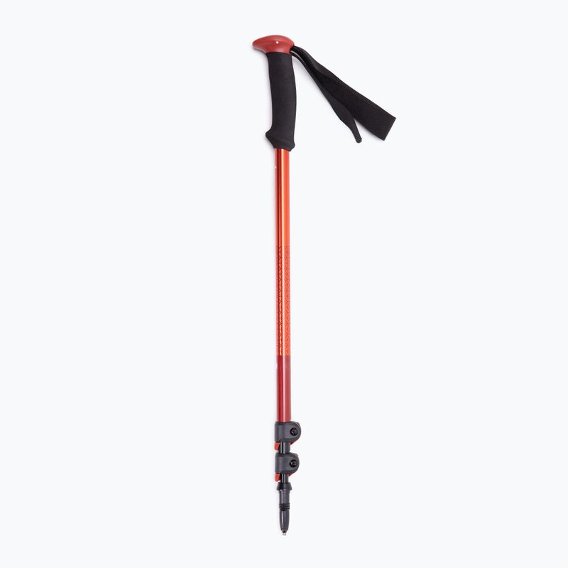 Treko lazdos Black Diamond Trail Sport Trek octane 6