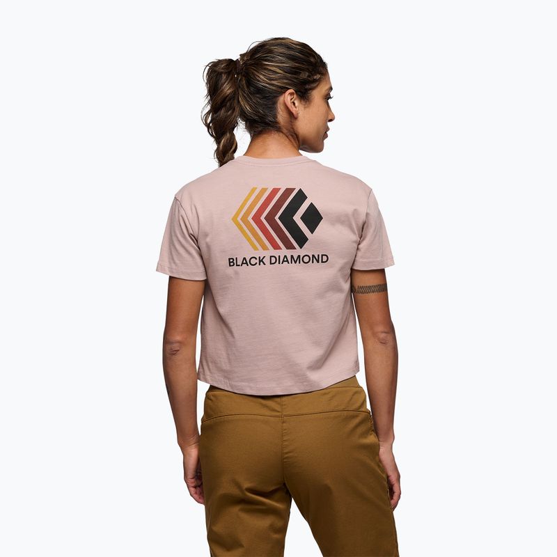 Moteriški marškinėliai Black Diamond Faded Crop pale mauve 3