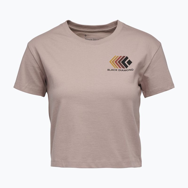 Moteriški marškinėliai Black Diamond Faded Crop pale mauve 4