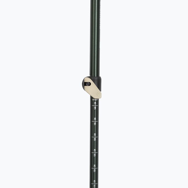 Žygio lazdos Black Diamond Trail Cork Trekking laurel green 4