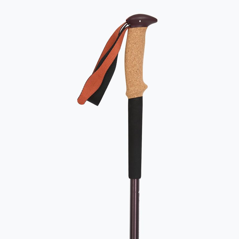 Žygio lazdos Black Diamond Trail Cork Trekking fig 2