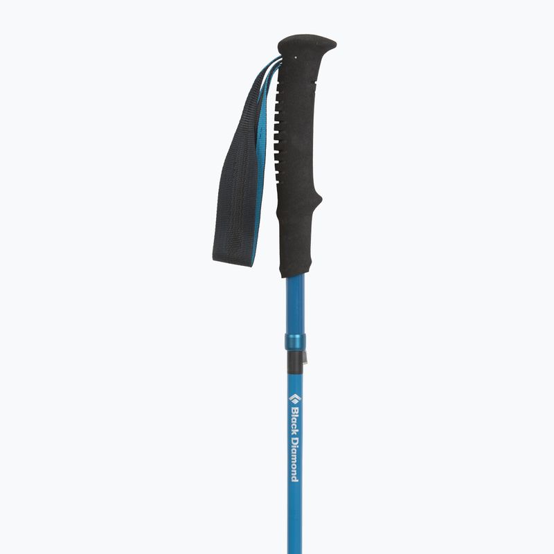 Žygio lazdos Black Diamond Distance Carbon Z desert sky 2
