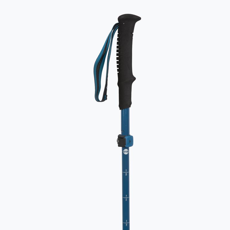 Žygio lazdos Black Diamond Distance Carbon Flz desert sky 2
