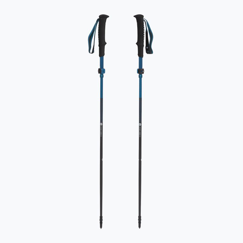 Žygio lazdos Black Diamond Distance Carbon Flz desert sky 5