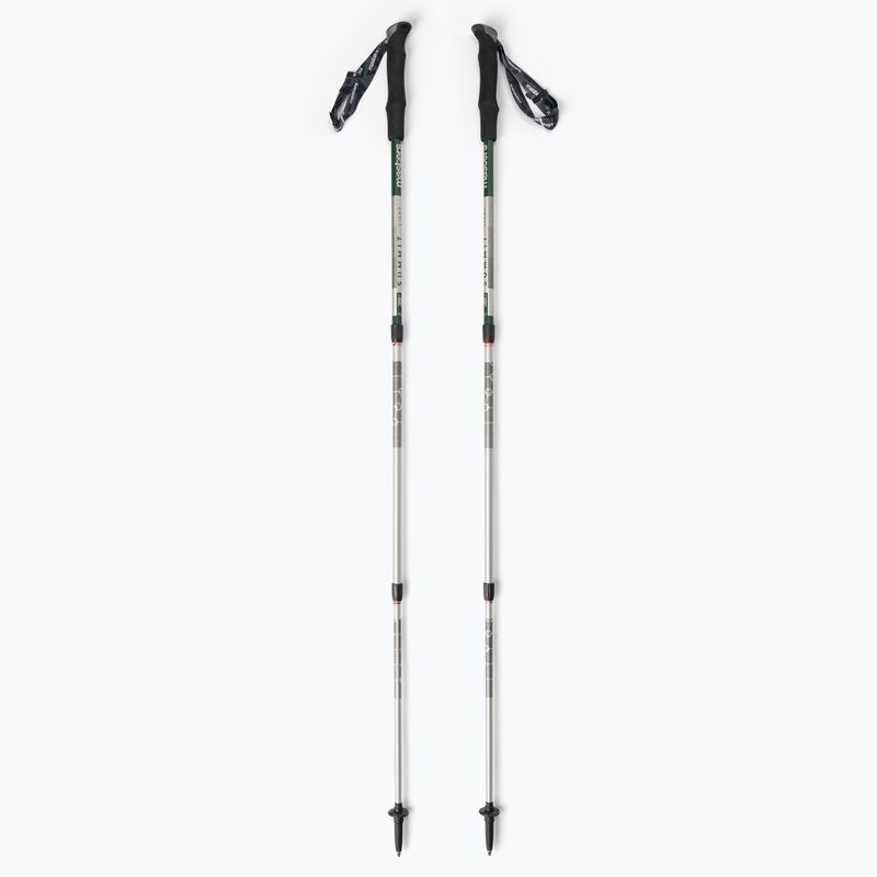 Masters Pole Summit Light green 01S4519 trekingo lazdos