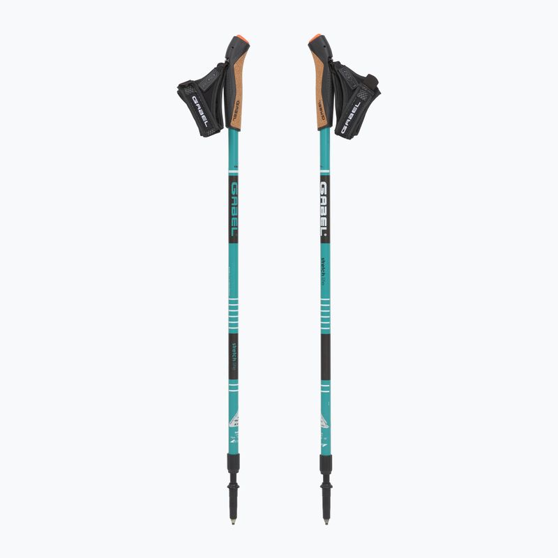 Šiaurietiško ėjimo lazdos GABEL Stretch Lite AI Avio multicolor 5