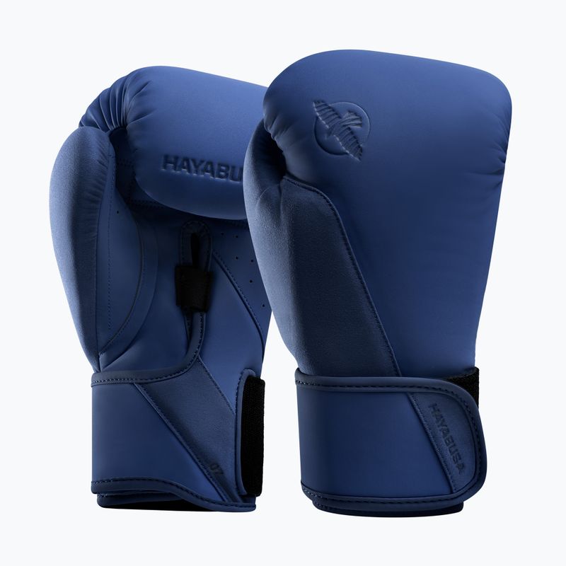 Bokso pirštinės Hayabusa T360 Boxing blue 2