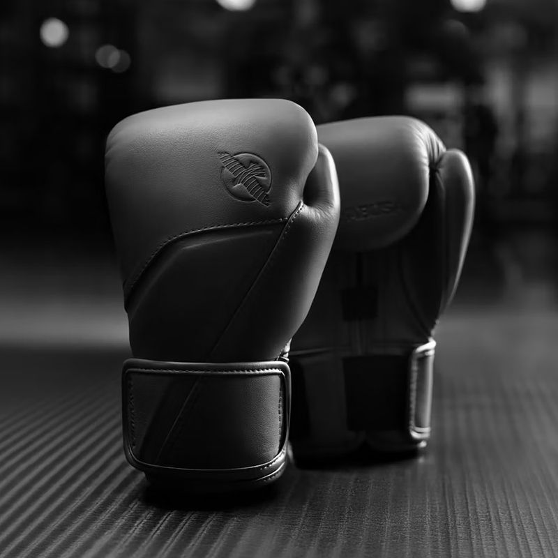 Bokso pirštinės Hayabusa E1 Leather black 2