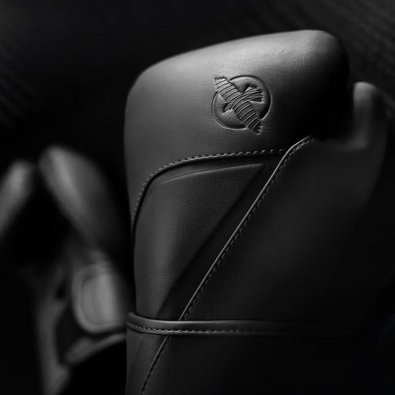 Bokso pirštinės Hayabusa E1 Leather black 3