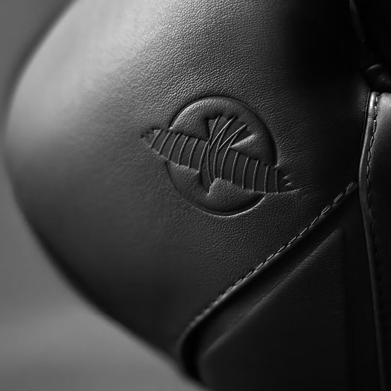 Bokso pirštinės Hayabusa E1 Leather black 4