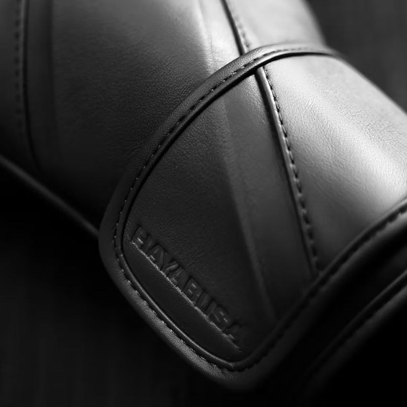 Bokso pirštinės Hayabusa E1 Leather black 5