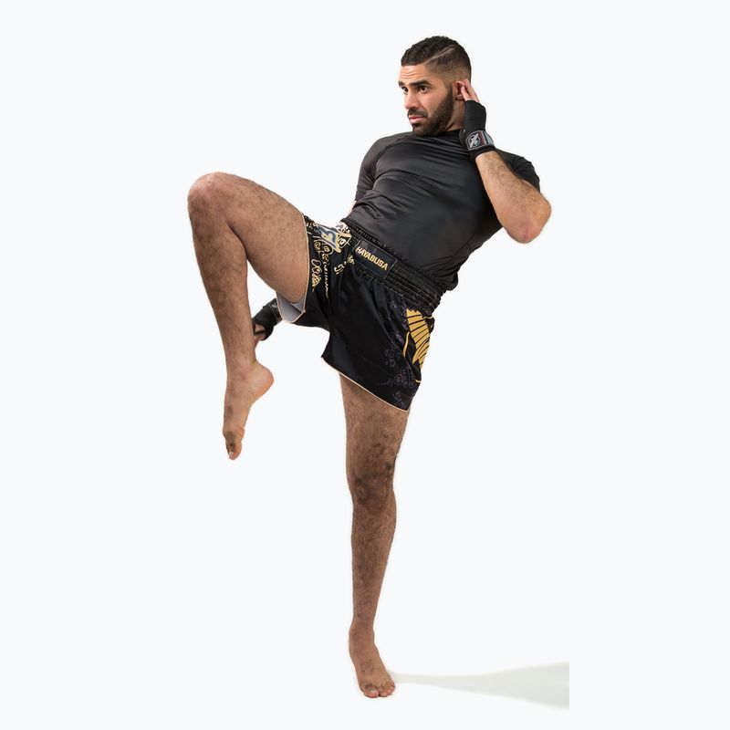 Vyriški treniruočių šortai Hayabusa Falcon Muay Thai black 5