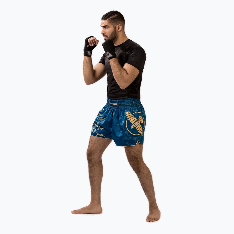 Vyriški treniruočių šortai Hayabusa Falcon Muay Thai blue 3