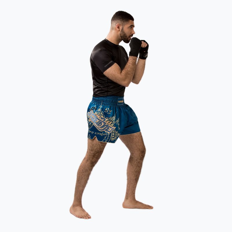 Vyriški treniruočių šortai Hayabusa Falcon Muay Thai blue 4