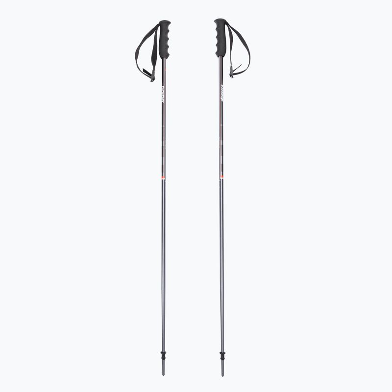 Nordica slidinėjimo lazdos ALPINE TI 16 MM pilkai raudonos spalvos 0B080800001
