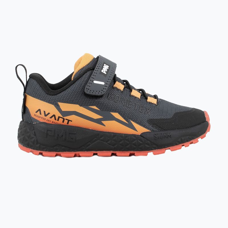Vaikiški batai Primigi PIM GTX 24190 ferro 2