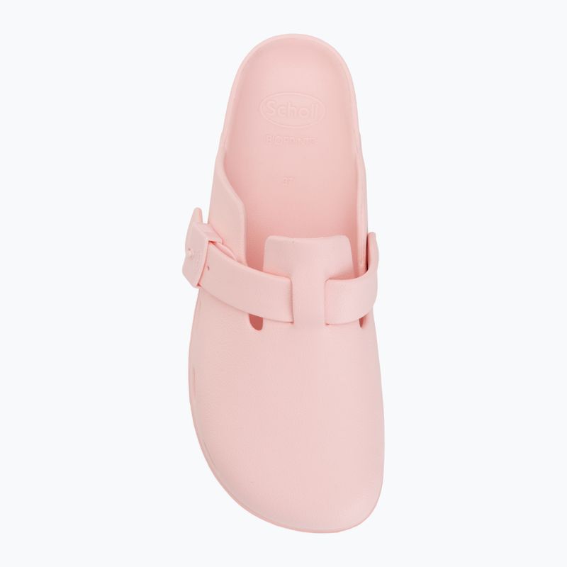 Šlepetės Scholl Bahia EVA light pink 5