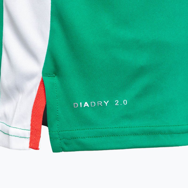 Vyriški teniso marškinėliai Diadora SS TS green DD-102.179124-70134 4
