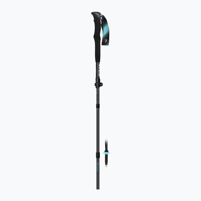 Žygio lazdos Fizan Ultrax Carbon light blue 3
