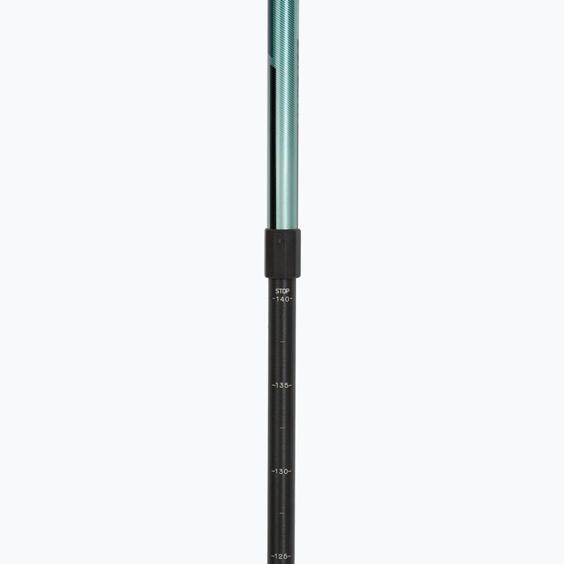 Žygio lazdos  Fizan Trek Pro dark green 4