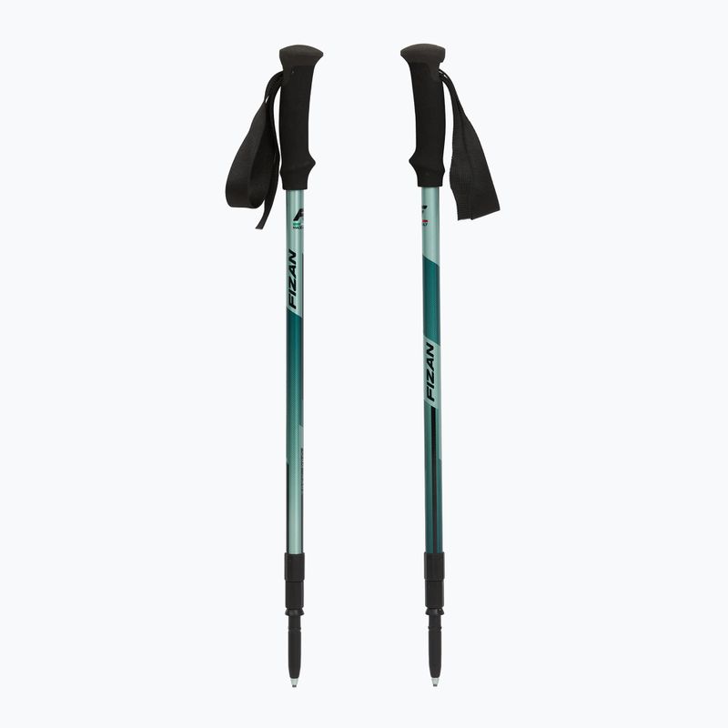 Žygio lazdos  Fizan Trek Pro dark green 5