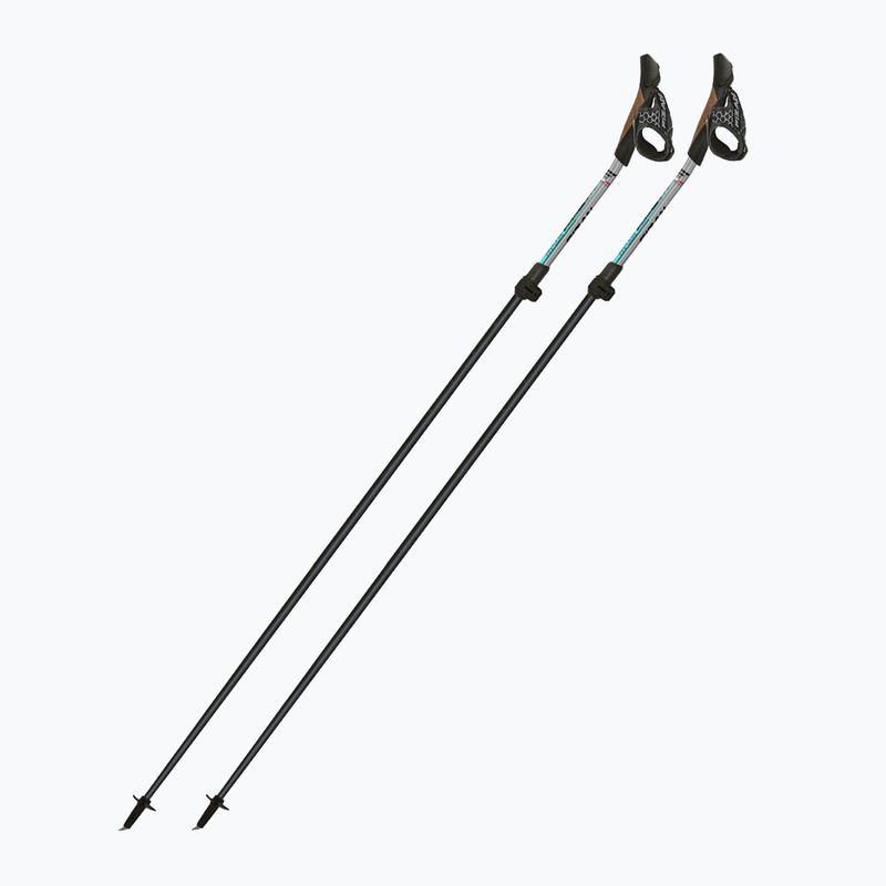 Šiaurietiško ėjimo lazdos Fizan Tekno Impulse grey