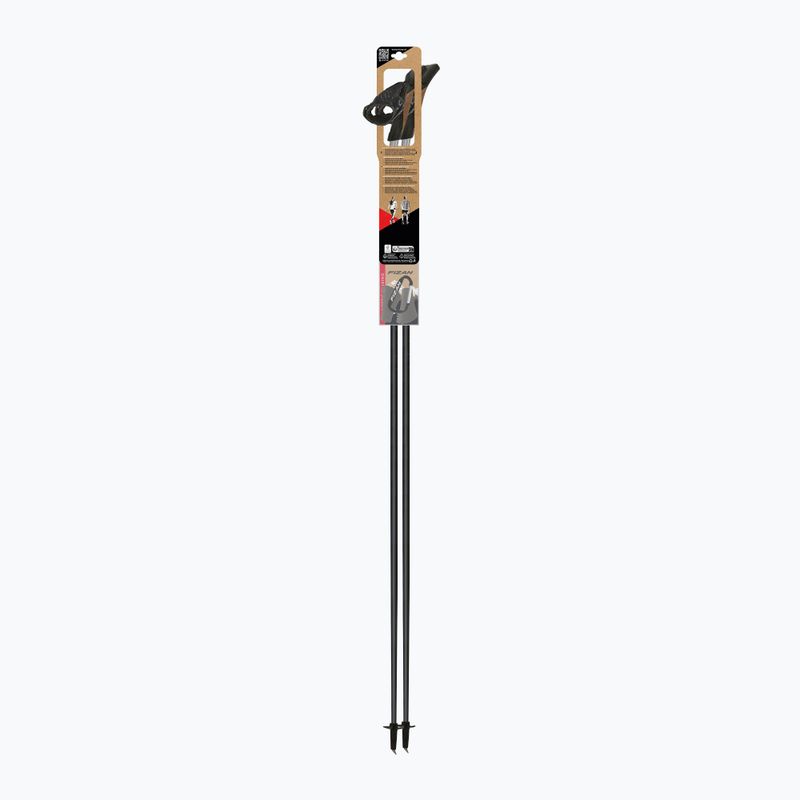 Šiaurietiško ėjimo lazdos Fizan Tekno Impulse grey 4