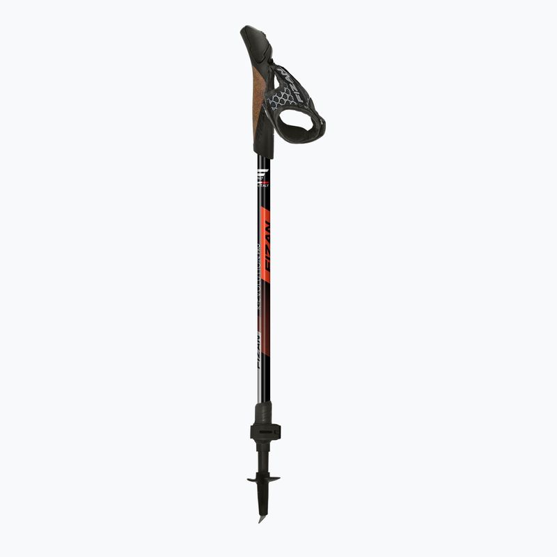 Šiaurietiško ėjimo lazdos Fizan R-Evolution Pro red 2