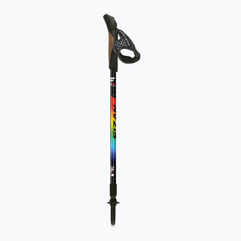 Šiaurietiško ėjimo lazdos Fizan Speed Junior rainbow 2