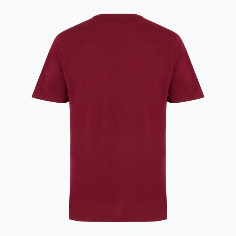 Vyriški marškinėliai Oakley Wire B1B Tee iron red 2