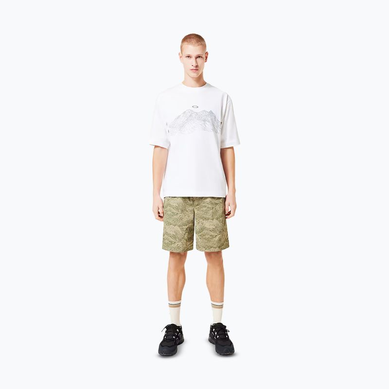 Vyriški marškinėliai Oakley Wired Mtn Scape Tee white