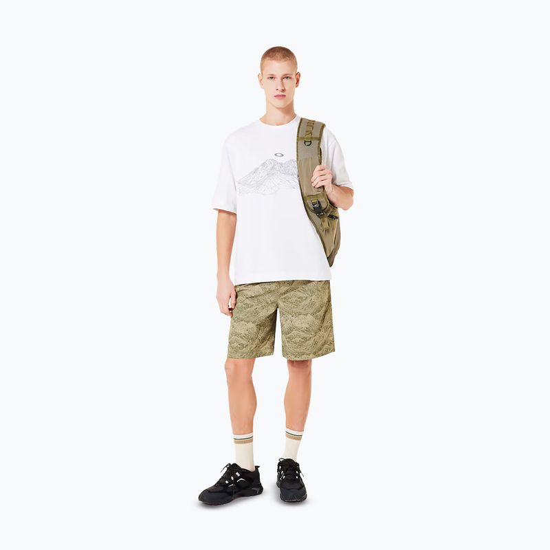 Vyriški marškinėliai Oakley Wired Mtn Scape Tee white 2