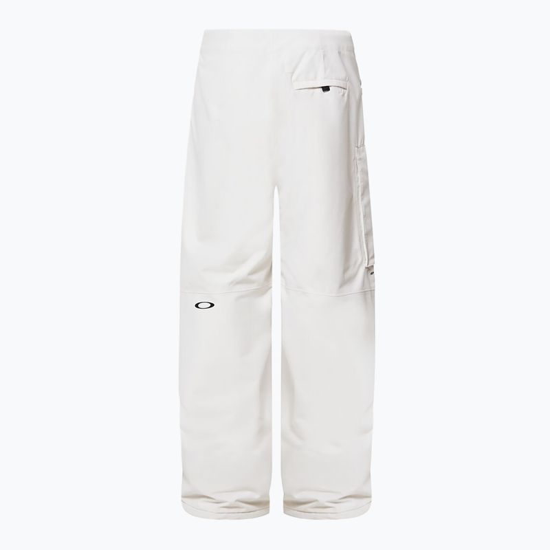 Vyriškos snieglenčių kelnės Oakley Channel Cargo mist 9