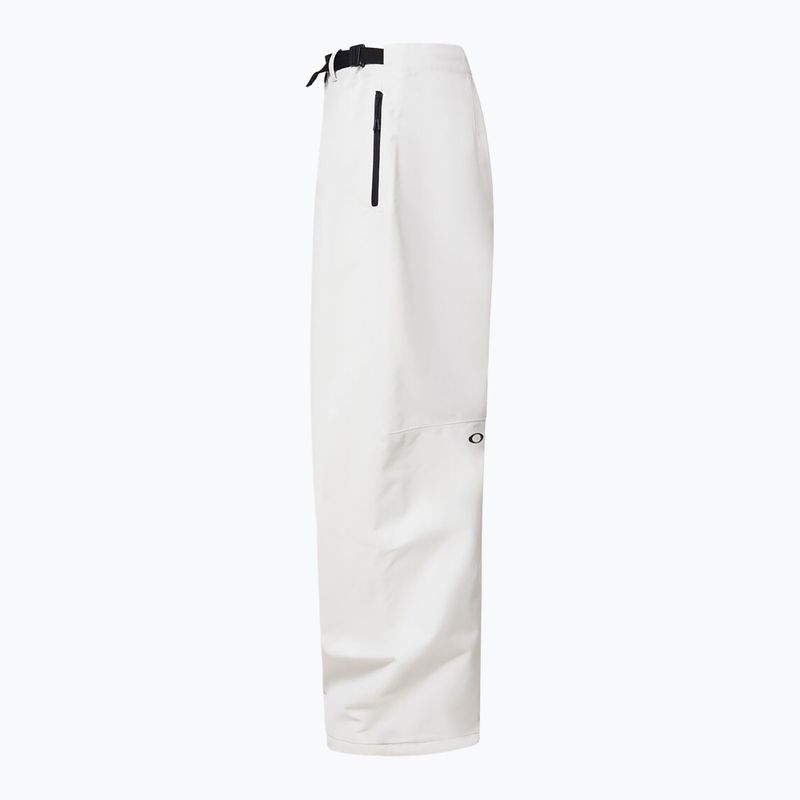 Vyriškos snieglenčių kelnės Oakley Channel Cargo mist 10