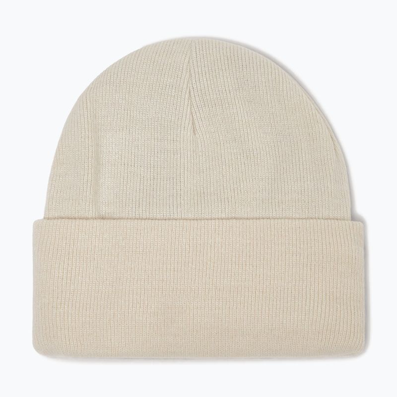 Žieminė kepurė Oakley B1B Gradient Patch Beanie mist 2