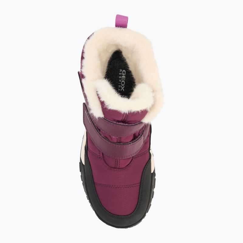 Paauglių sniego batai Geox Trekkyup ABX burgundy 5