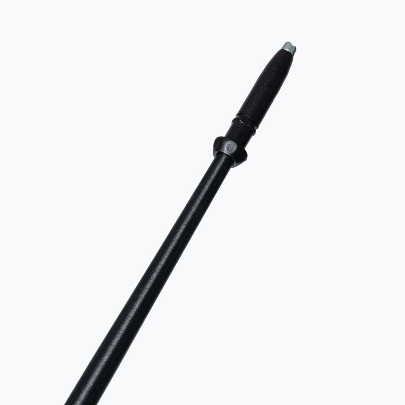 Fizan Explorer trekingo lazdos mėlynos S20 7521 4