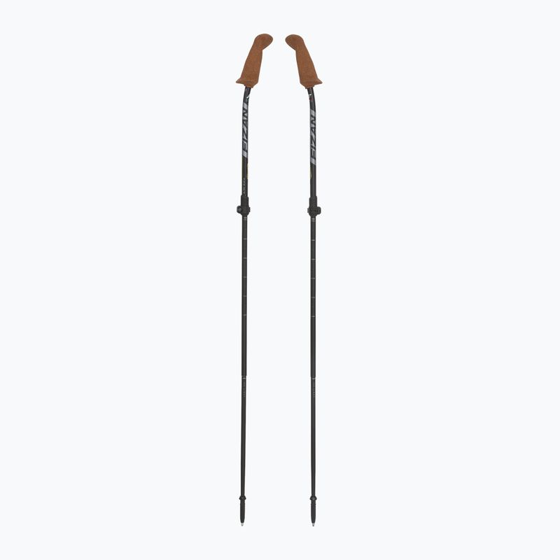 Fizan Walx Xplorer šiaurietiško ėjimo lazdos pilkos spalvos