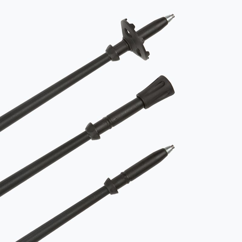 Žygio lazdos Fizan Tierra beige/water green 6