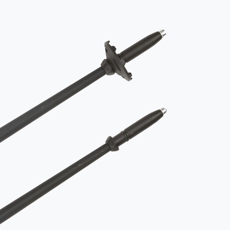 Žygio lazdos Fizan Explorer beige/blue 6