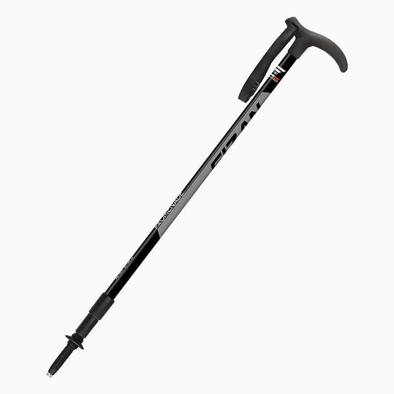 Žygio lazda Fizan Promenade grey 8