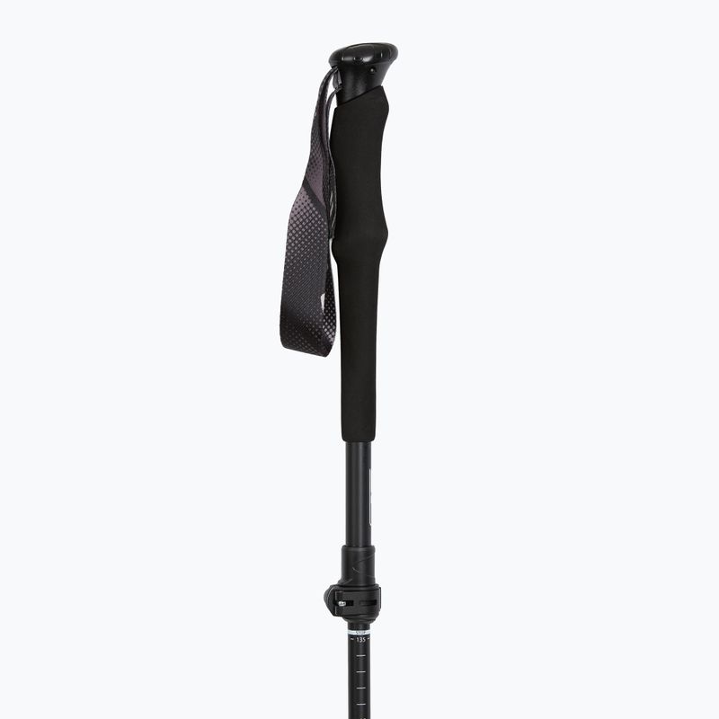 Žygio lazdos Fizan RFP Touring black 2