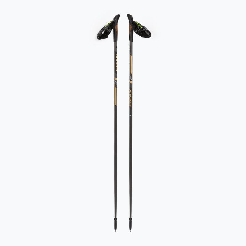 Nordic walking lazdos Fizan Runner 100063 auksinės spalvos