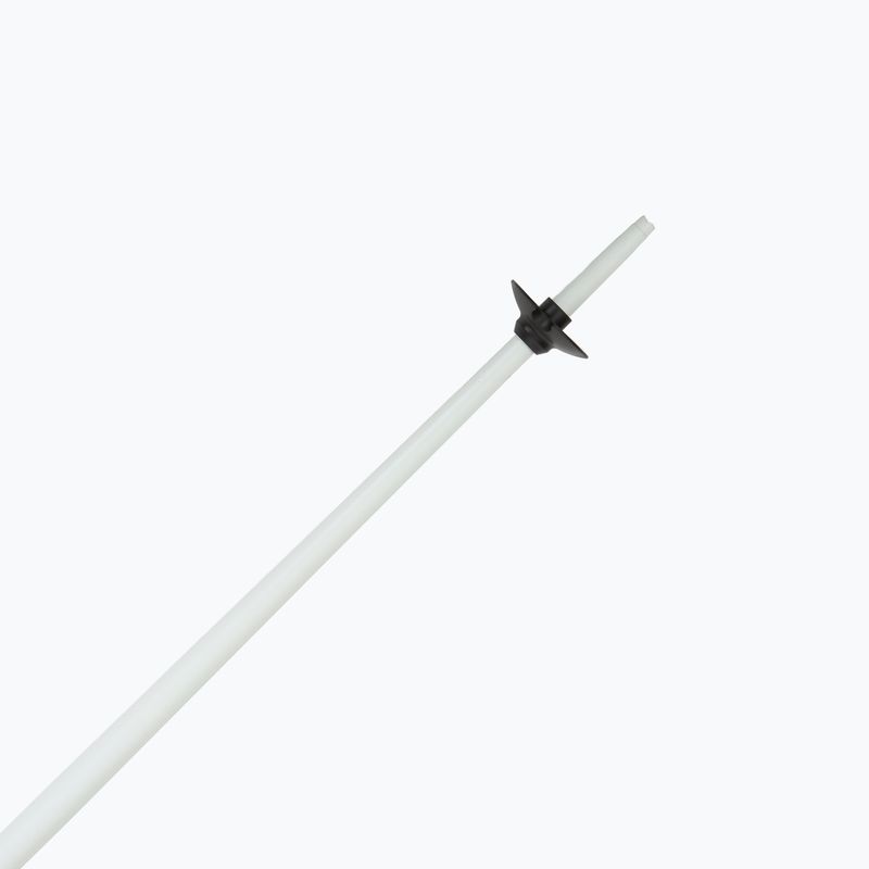 Slidinėjimo lazdos Fizan Action MS paisley magenta 5