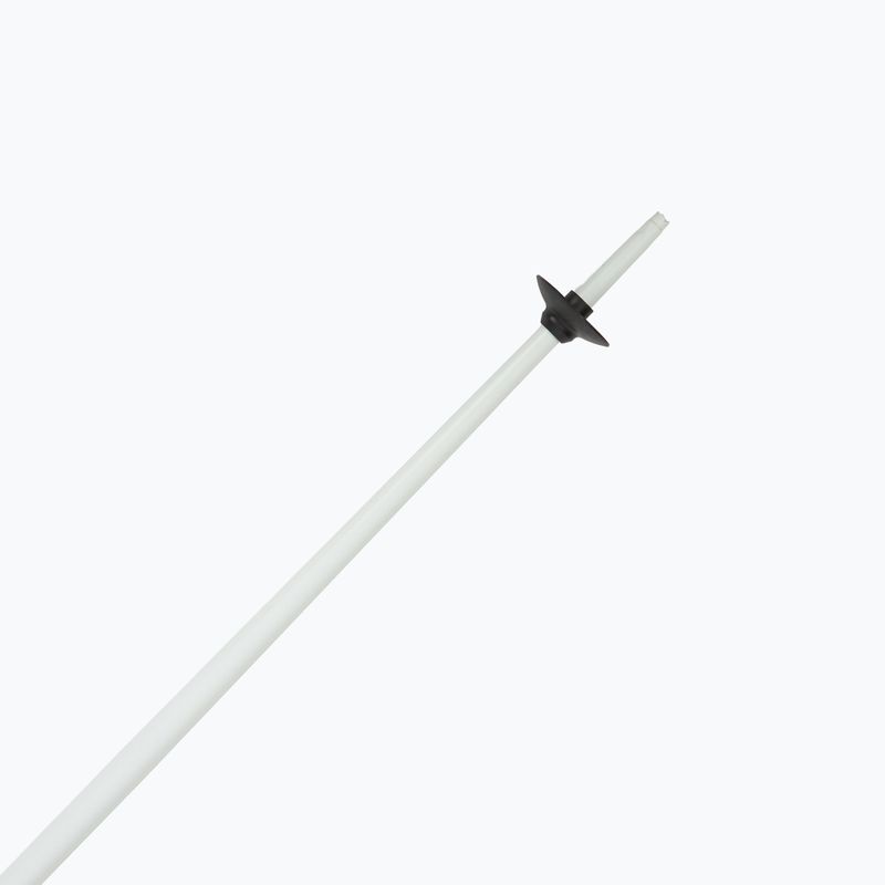 Slidinėjimo lazdos Fizan Action MS animal grey 5