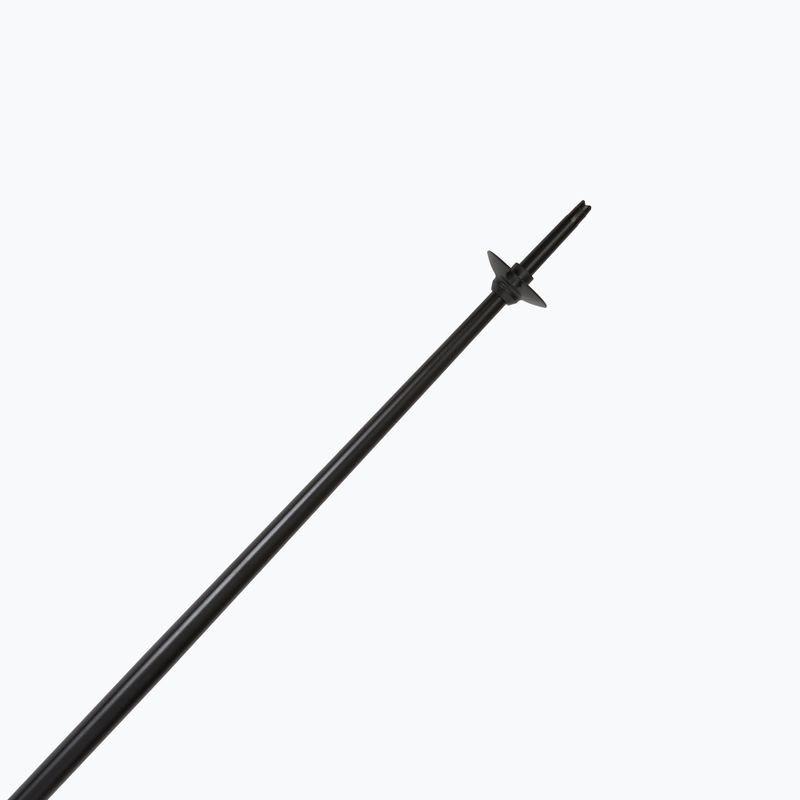 Slidinėjimo lazdos Fizan Action Pro blue 5