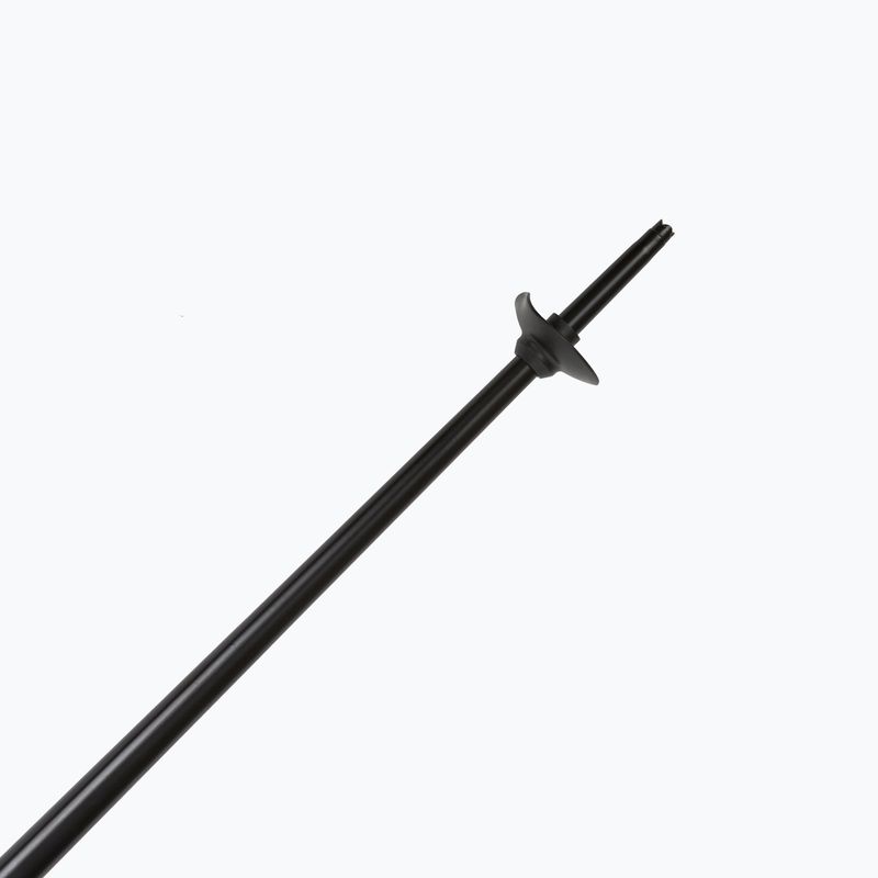 Slidinėjimo lazdos Fizan Action blue 5