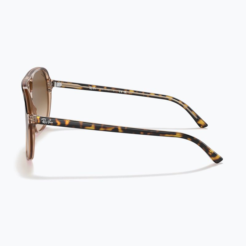 Akiniai nuo saulės Ray-Ban Bill havana brown/transparent brown 7